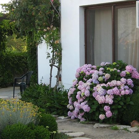 سينيموريتس South Beach Villa المظهر الخارجي الصورة