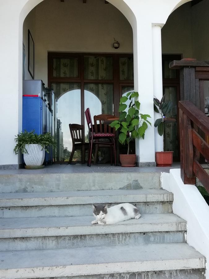 سينيموريتس South Beach Villa المظهر الخارجي الصورة