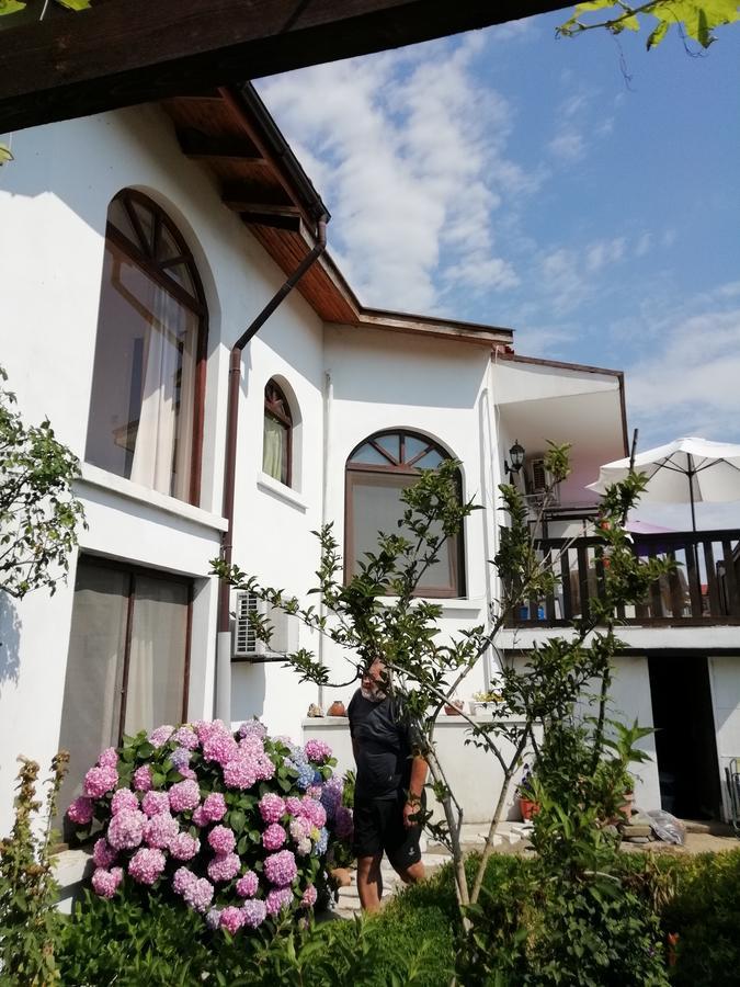 سينيموريتس South Beach Villa المظهر الخارجي الصورة