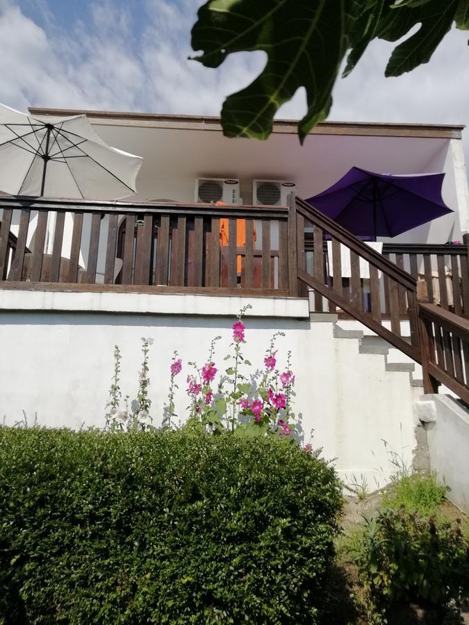 سينيموريتس South Beach Villa المظهر الخارجي الصورة