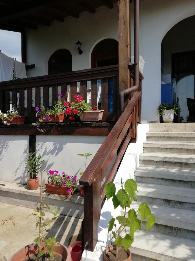 سينيموريتس South Beach Villa المظهر الخارجي الصورة